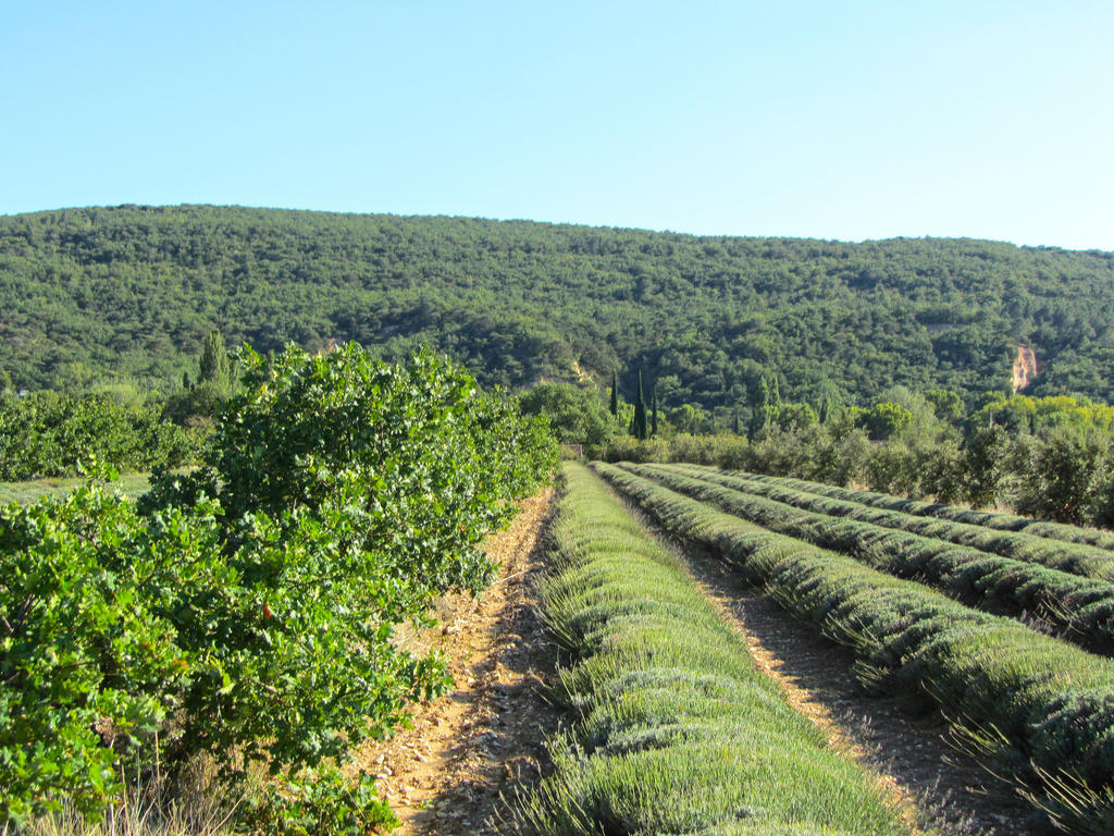 Valaurie Gites De La Croix Du Gres (Adults Only) מראה חיצוני תמונה